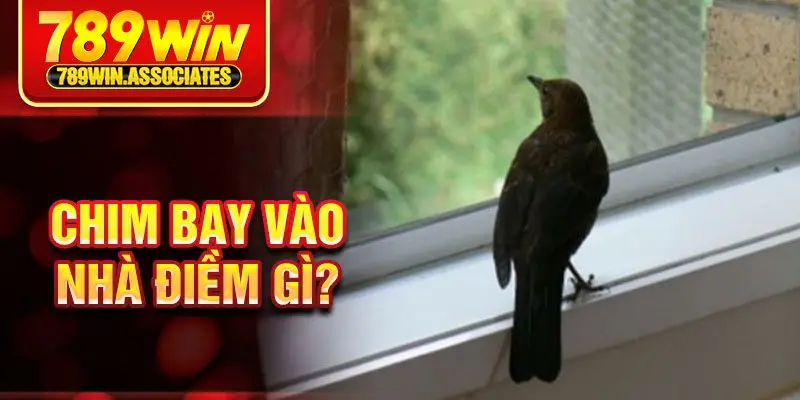 Chim Bay Vào Nhà Là Điềm Gì? – Giải Mã Những Bí Ẩn Về Nó 1 Chim bay vào nhà điềm gì?