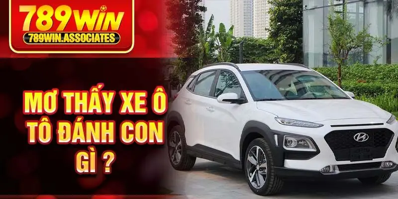 Mơ Thấy Xe Ô Tô Đánh Con Gì ? Giải Mã Giấc Mơ Chi Tiết Nhất 1 Mơ thấy xe ô tô đánh con gì ?