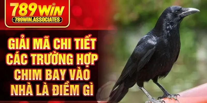 Chim Bay Vào Nhà Là Điềm Gì? – Giải Mã Những Bí Ẩn Về Nó 2 Giải mã chi tiết các trường hợp chim bay vào nhà là điềm gì