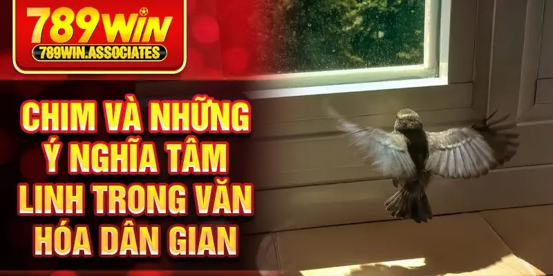 Chim Bay Vào Nhà Là Điềm Gì? – Giải Mã Những Bí Ẩn Về Nó 3 Chim và những ý nghĩa tâm linh trong văn hóa dân gian