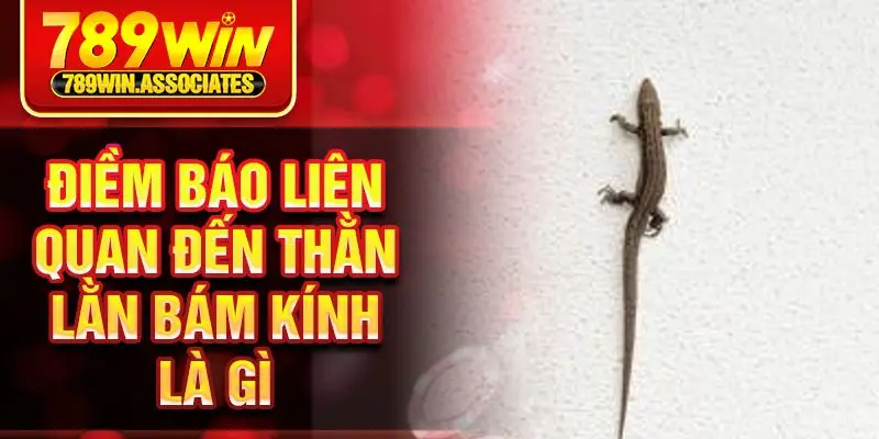 Thằn Lằn Bám Kính Là Gì? Điều Tra Về Ý Nghĩa Và Điềm Báo 3 Điềm báo liên quan đến thằn lằn bám kính là gì