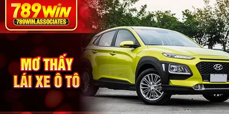 Mơ Thấy Xe Ô Tô Đánh Con Gì ? Giải Mã Giấc Mơ Chi Tiết Nhất 3 Mơ thấy lái xe ô tô